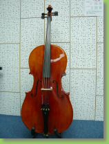 16500 cello 6.jpg